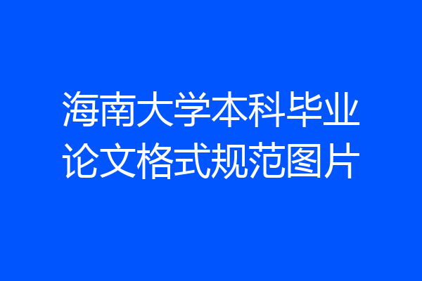 海南大学本科毕业论文格式规范图片