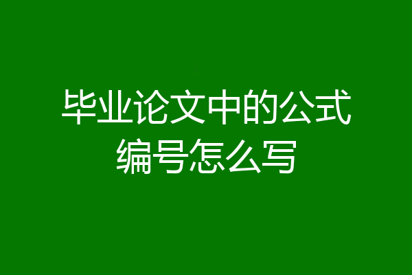 毕业论文中的公式编号怎么写