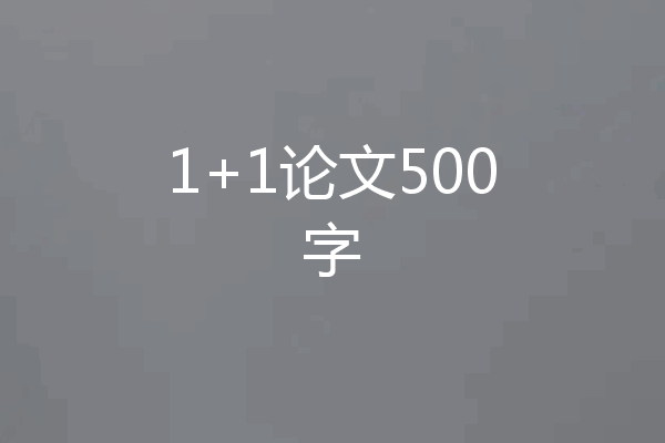 1+1论文500字