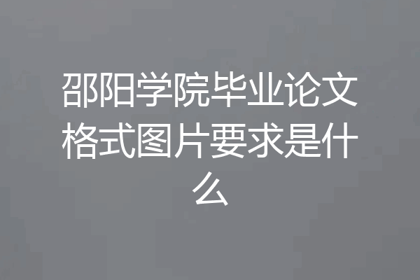 邵阳学院毕业论文格式图片要求是什么