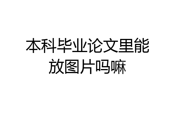 本科毕业论文里能放图片吗嘛