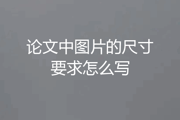 论文中图片的尺寸要求怎么写
