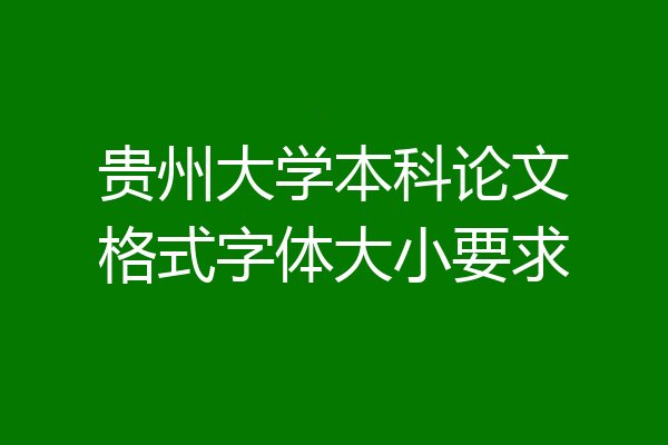 贵州大学本科论文格式字体大小要求