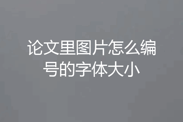 论文里图片怎么编号的字体大小