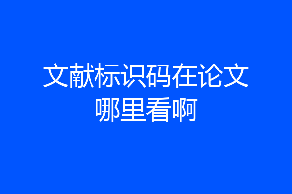 文献标识码在论文哪里看啊