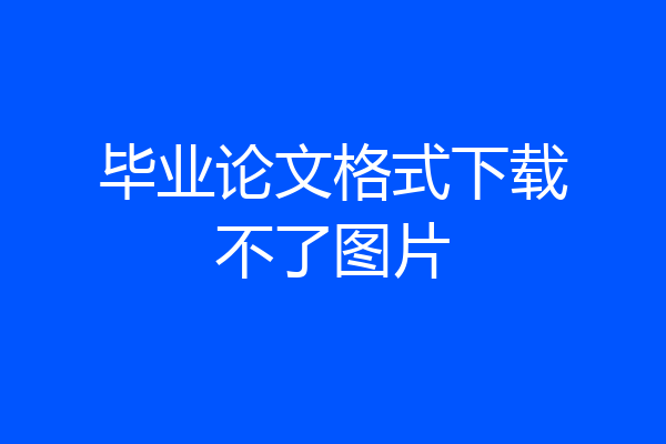 毕业论文格式下载不了图片