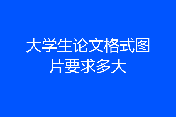 大学生论文格式图片要求多大