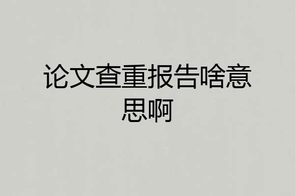 论文查重报告啥意思啊