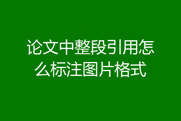 论文中整段引用怎么标注图片格式