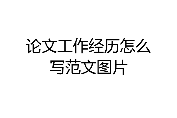论文工作经历怎么写范文图片