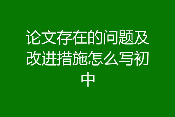 论文存在的问题及改进措施怎么写初中