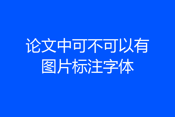 论文中可不可以有图片标注字体