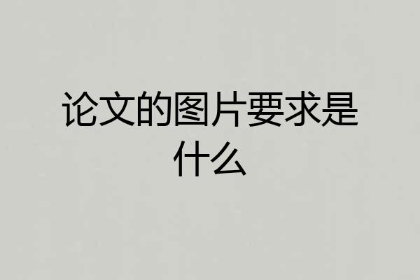 论文的图片要求是什么
