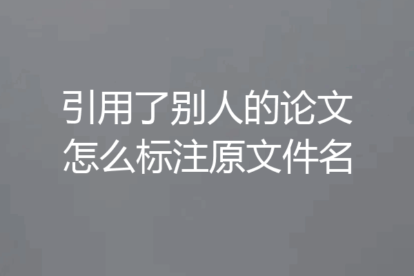 引用了别人的论文怎么标注原文件名
