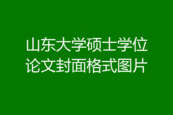 山东大学硕士学位论文封面格式图片