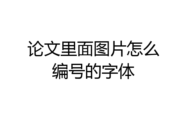 论文里面图片怎么编号的字体