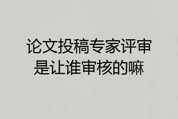 论文投稿专家评审是让谁审核的嘛