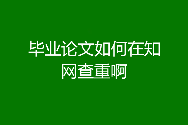 毕业论文如何在知网查重啊
