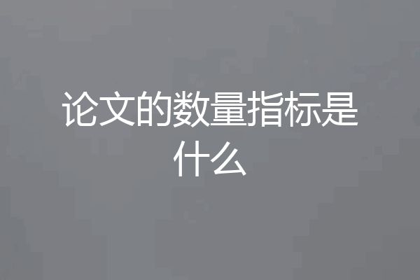 论文的数量指标是什么