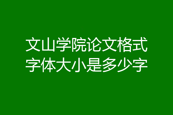 文山学院论文格式字体大小是多少字