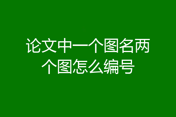 论文中一个图名两个图怎么编号