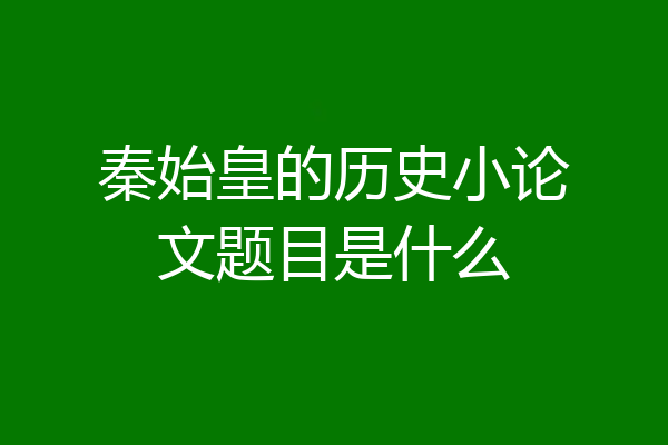 秦始皇的历史小论文题目是什么