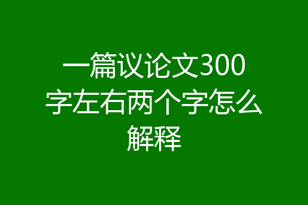 一篇议论文300字左右两个字怎么解释