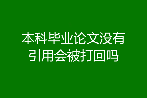 本科毕业论文没有引用会被打回吗