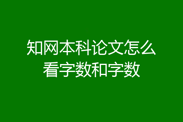 知网本科论文怎么看字数和字数