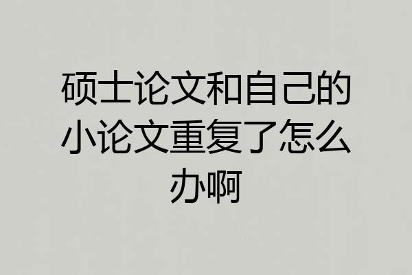 硕士论文和自己的小论文重复了怎么办啊