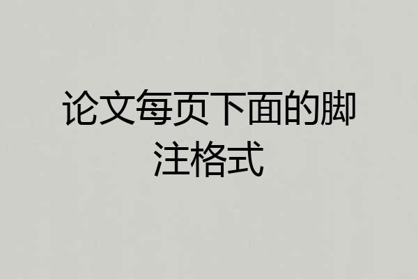 论文每页下面的脚注格式