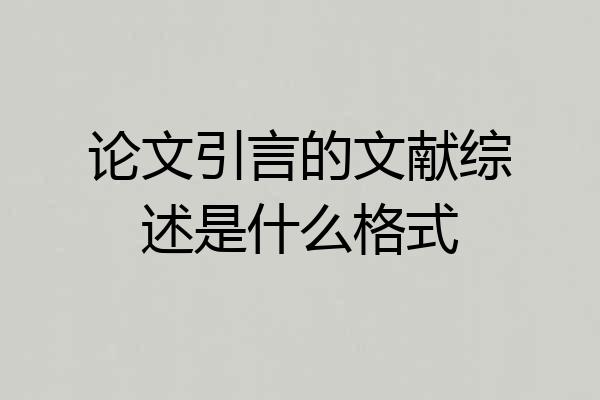 论文引言的文献综述是什么格式