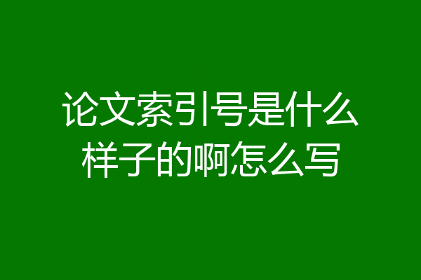 论文索引号是什么样子的啊怎么写