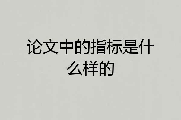 论文中的指标是什么样的