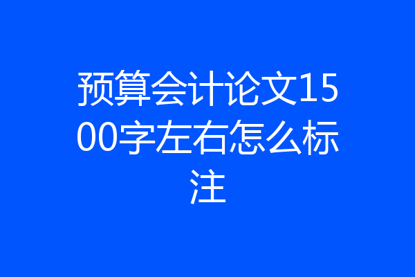预算会计论文1500字左右怎么标注