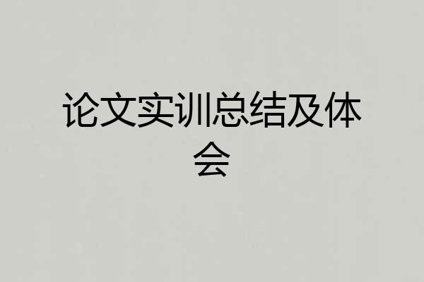 论文实训总结及体会