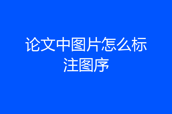 论文中图片怎么标注图序