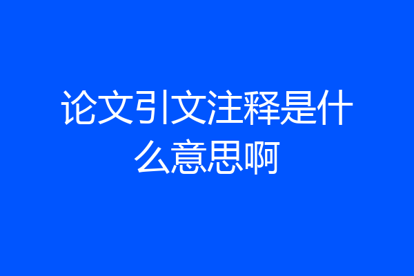 论文引文注释是什么意思啊