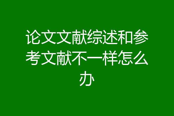 论文文献综述和参考文献不一样怎么办