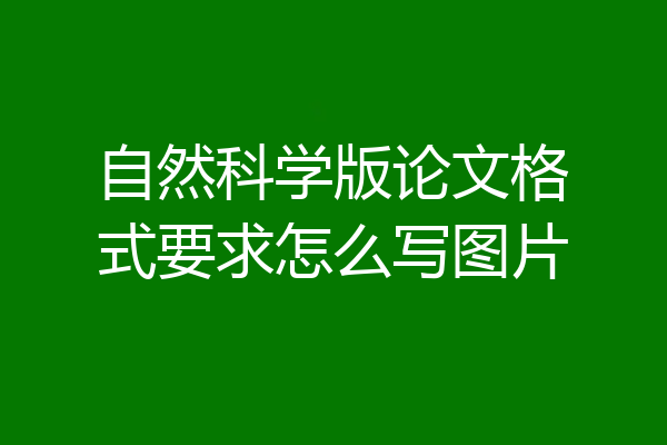自然科学版论文格式要求怎么写图片