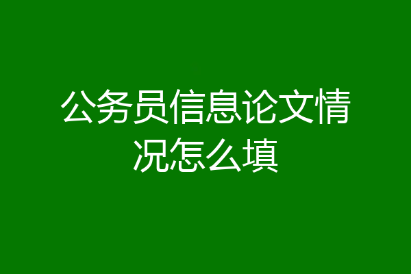 公务员信息论文情况怎么填