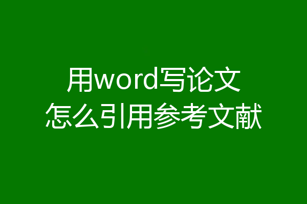 用word写论文怎么引用参考文献