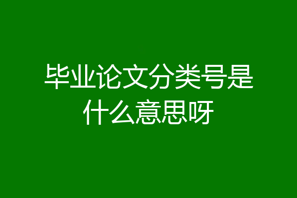 毕业论文分类号是什么意思呀