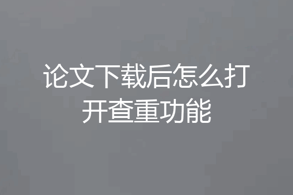 论文下载后怎么打开查重功能