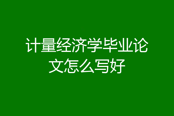 计量经济学毕业论文怎么写好