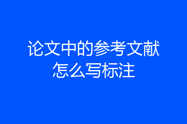 论文中的参考文献怎么写标注