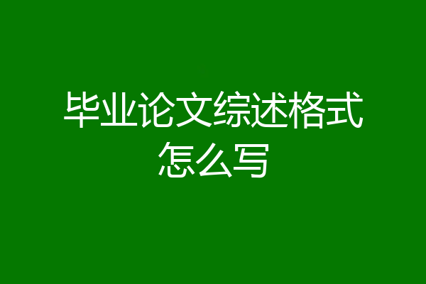 毕业论文综述格式怎么写