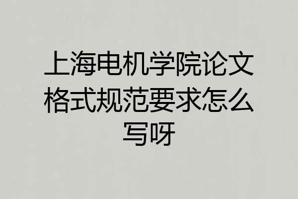 上海电机学院论文格式规范要求怎么写呀