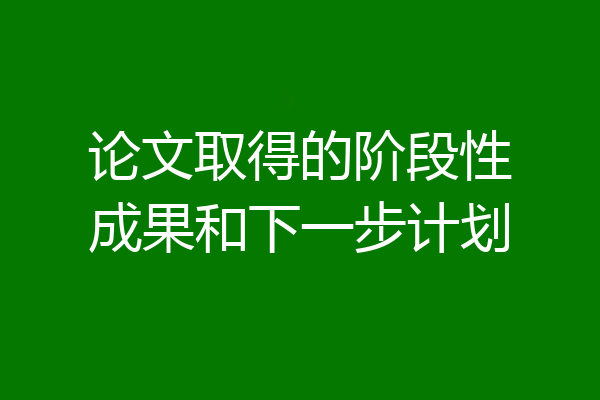 论文取得的阶段性成果和下一步计划