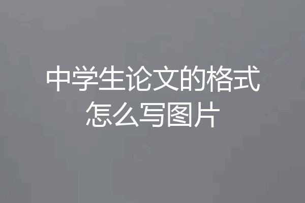 中学生论文的格式怎么写图片